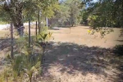 Terreno en venta en Clewiston, Florida № 2014017 - foto 20