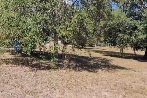 Terreno en venta en Clewiston, Florida № 2014017 - foto 4