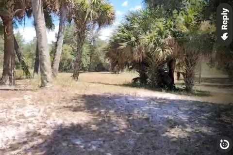 Terreno en venta en Clewiston, Florida № 2014017 - foto 5