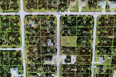 Land in Port Charlotte, Florida № 2163071 - photo 2