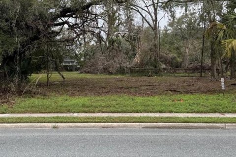 Terreno en venta en Alachua, Florida № 1549108 - foto 1