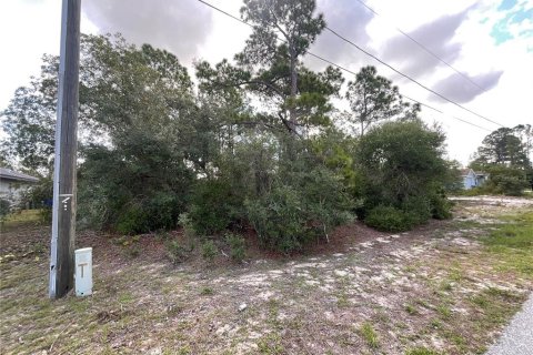 Land in Lake Placid, Florida № 2217897