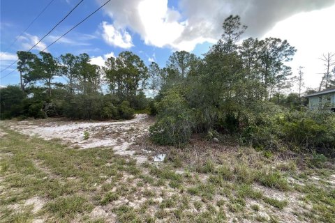 Terrain à vendre à Lake Placid, Floride № 2217897 - photo 6
