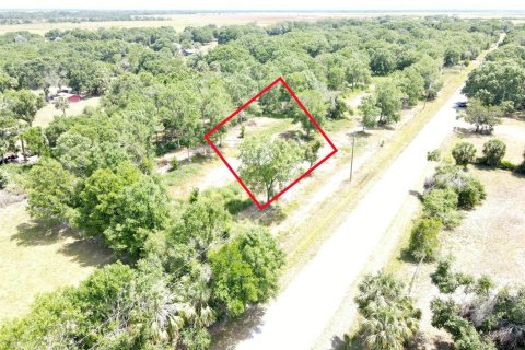Propiedad comercial en venta en Okeechobee, Florida № 2146759 - foto 3