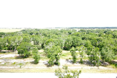 Propiedad comercial en venta en Okeechobee, Florida № 2146759 - foto 2