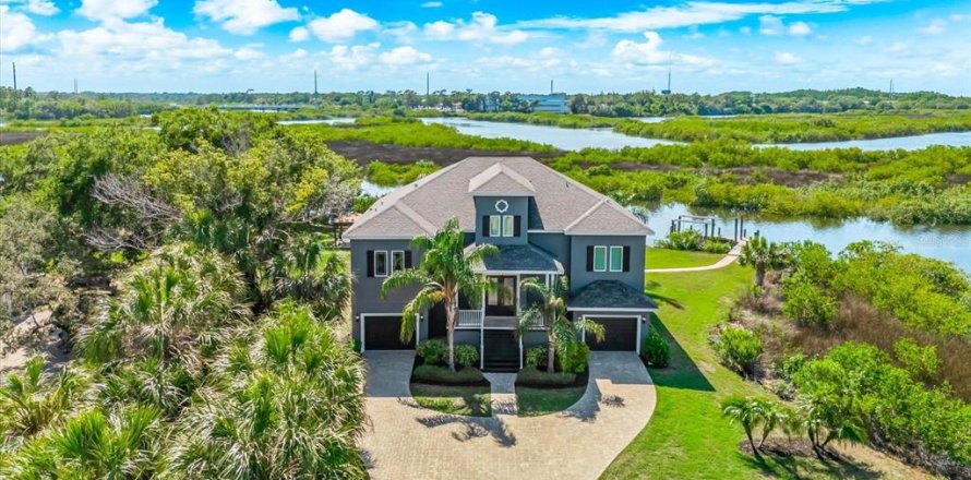 Villa ou maison à Tarpon Springs, Floride 4 chambres, 268.58 m2 № 2152185