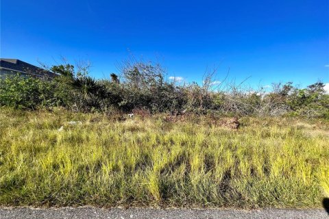 Land in Port Charlotte, Florida № 2160125