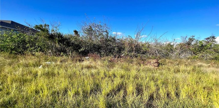 Land in Port Charlotte, Florida № 2160125