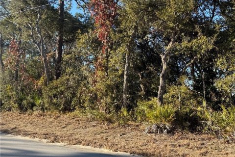 Land in Homosassa, Florida № 2162484 - photo 5