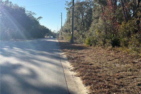 Land in Homosassa, Florida № 2162484 - photo 7