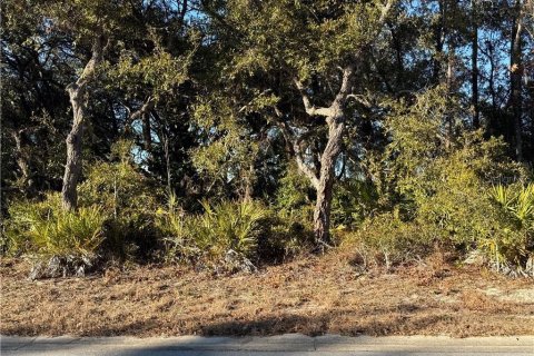 Land in Homosassa, Florida № 2162484 - photo 6
