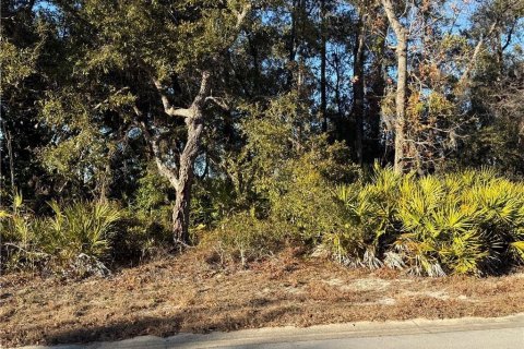 Land in Homosassa, Florida № 2162484 - photo 3
