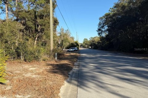 Land in Homosassa, Florida № 2162484 - photo 8