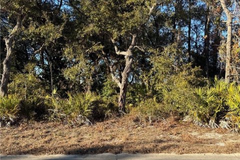 Land in Homosassa, Florida № 2162484 - photo 4