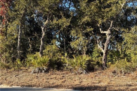 Land in Homosassa, Florida № 2162484