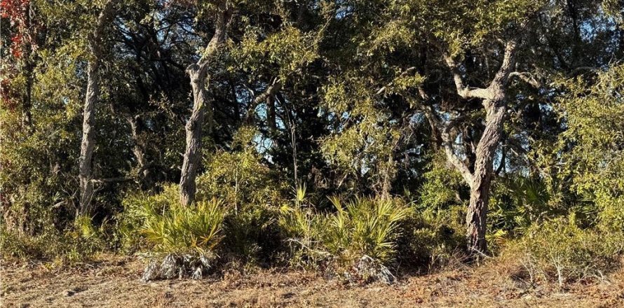 Land in Homosassa, Florida № 2162484