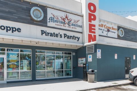 Commercial property in Clearwater, Florida № 1813217 - photo 2