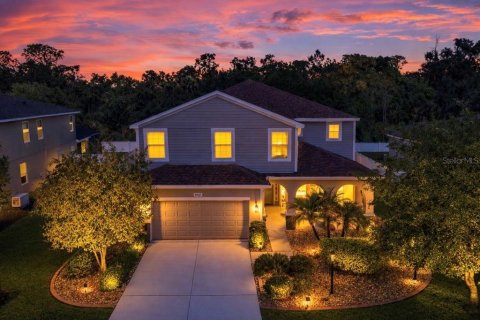 House in Parrish, Florida 5 bedrooms, 344.3 sq.m. № 2222051 - photo 2