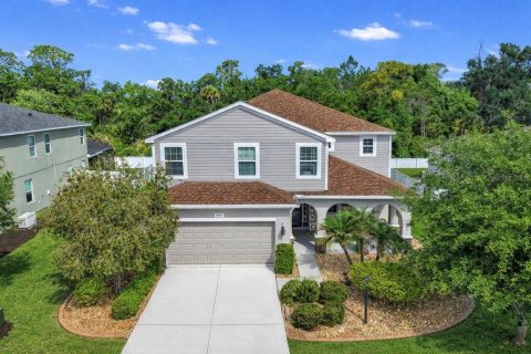 House in Parrish, Florida 5 bedrooms, 344.3 sq.m. № 2222051