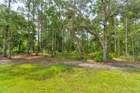 Villa ou maison à vendre à Hastings, Floride: 3 chambres, 112.04 m2 № 1821094 - photo 26