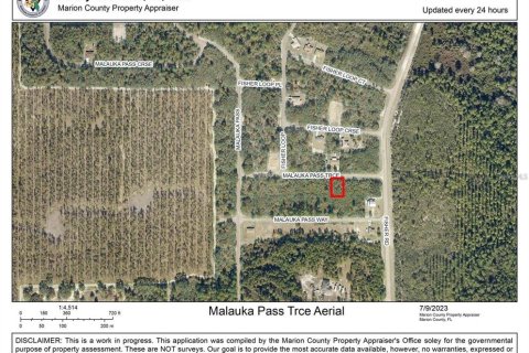 Land in Ocklawaha, Florida № 2228920