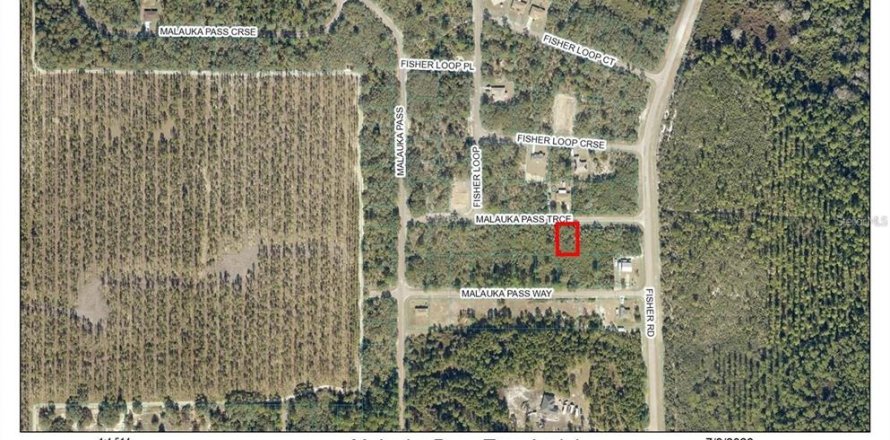 Land in Ocklawaha, Florida № 2228920