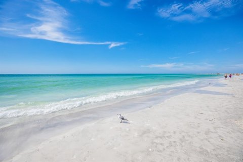 Terreno en venta en Sarasota, Florida № 1886133 - foto 19