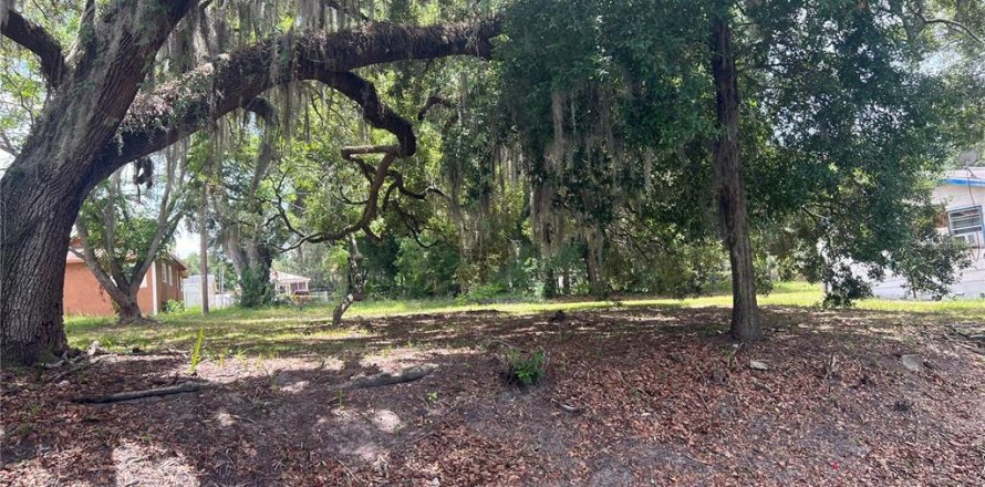 Terreno en Lakeland, Florida № 2202303