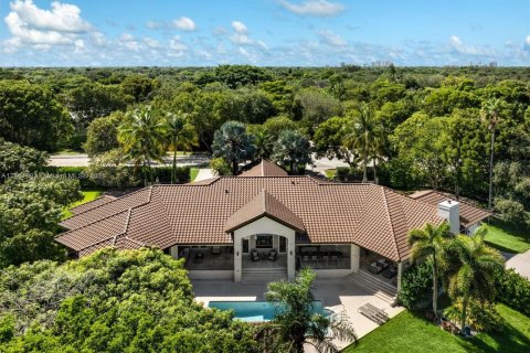 Villa ou maison à vendre à Pinecrest, Floride: 5 chambres, 455.78 m2 № 1925497 - photo 9