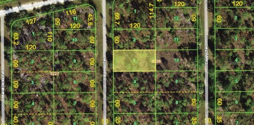 Terrain à Punta Gorda, Floride № 2258627