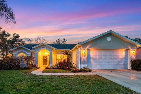 House in Hudson, Florida 3 bedrooms, 159.51 sq.m. № 2092115