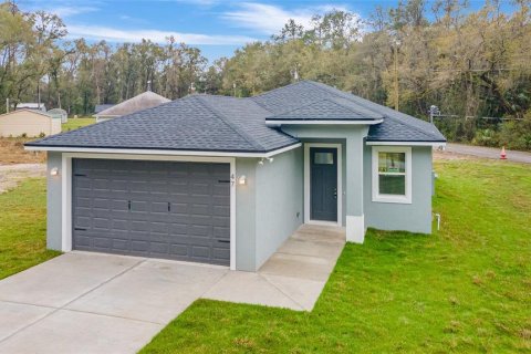 Villa ou maison à vendre à Ocklawaha, Floride: 3 chambres, 125.36 m2 № 1544993 - photo 3