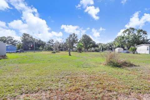 Terreno en venta en Lakeland, Florida № 2148285 - foto 4