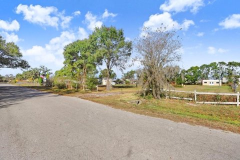 Terreno en venta en Lakeland, Florida № 2148285 - foto 10