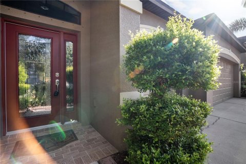 House in Riverview, Florida 4 bedrooms, 289.67 sq.m. № 1828573 - photo 14