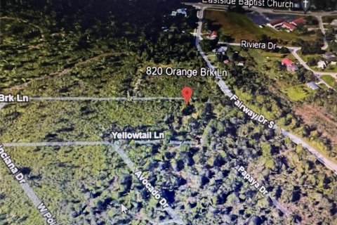 Land in Punta Gorda, Florida № 2164189 - photo 5