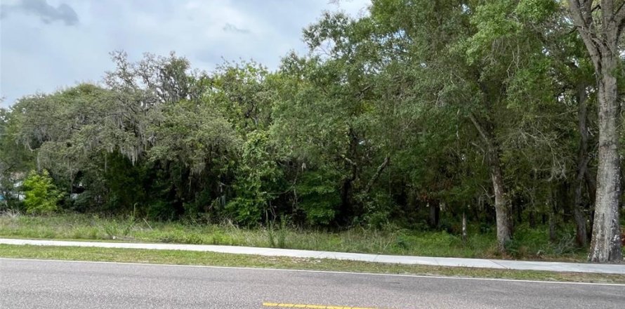 Land in Hudson, Florida № 1610002