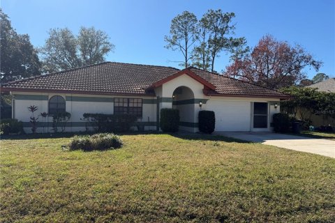 Villa ou maison à Palm Coast, Floride 4 chambres, 195.75 m2 № 2434495