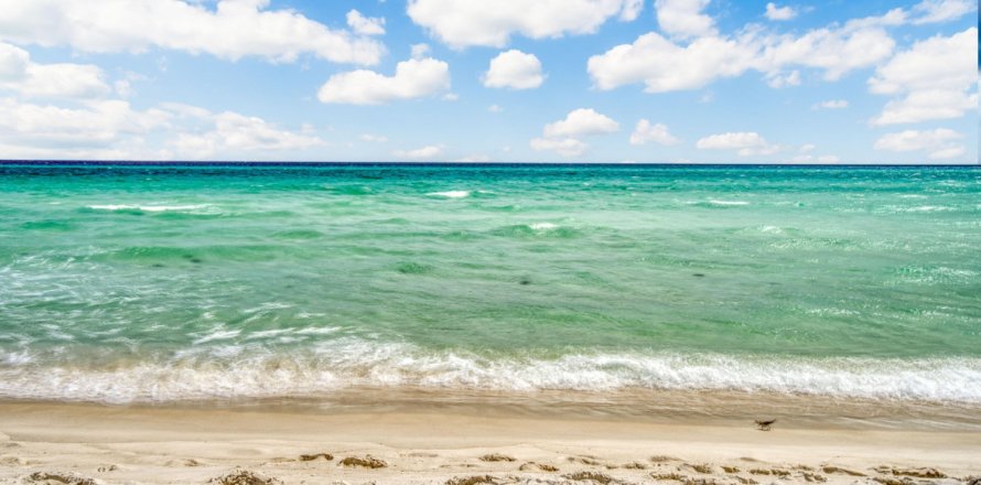 Villa ou maison à Panama City Beach, Floride 3 chambres, 117.43 m2 № 558362