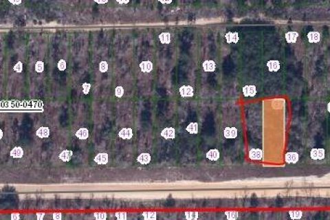 Land in Interlachen, Florida № 2223865 - photo 2