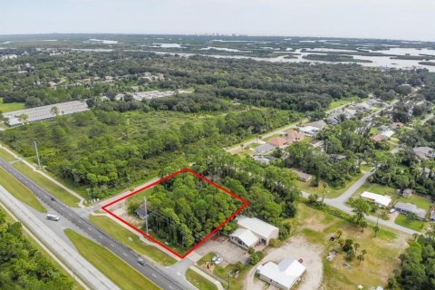 Land in Edgewater, Florida № 2207030 - photo 3