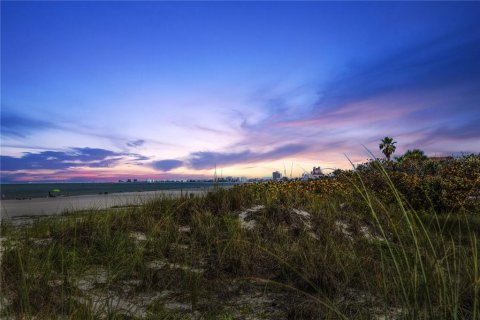 Land in Saint Pete Beach, Florida № 1906904 - photo 5