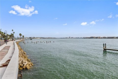 Land in Saint Pete Beach, Florida № 1906904 - photo 12