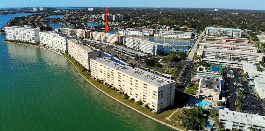 Condo à Gulfport, Floride, 1 chambre  № 1567625