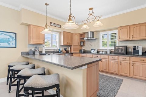 Villa ou maison à vendre à Englewood, Floride: 5 chambres, 485.23 m2 № 1651740 - photo 18