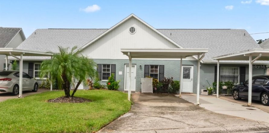 Condo in New Port Richey, Florida, 1 bedroom  № 1907605