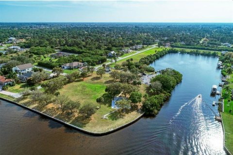 Land in Port Charlotte, Florida № 2228050 - photo 15