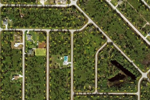 Land in Port Charlotte, Florida № 2228050 - photo 2