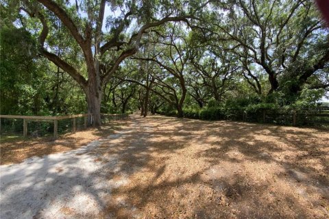 House in Anthony, Florida 3 bedrooms, 209.22 sq.m. № 1656851 - photo 23