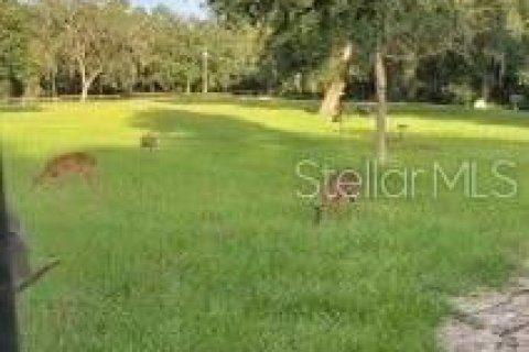 House in Anthony, Florida 3 bedrooms, 209.22 sq.m. № 1656851 - photo 14